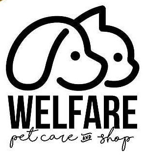 welfare